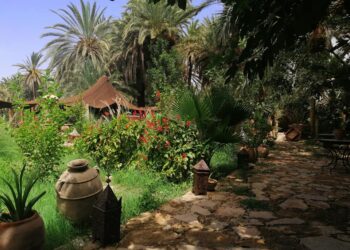 واحة “تيوت” بتارودانت.. ملاذ مفضل لعشاق السياحة الإيكولوجية