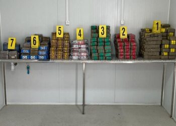 إجهاض عملية للتهريب الدولي ل260 كيلوغرام من الشيرا بميناء طنجة