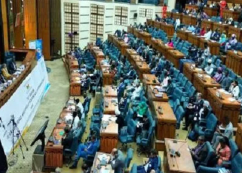 أديس أبابا: المؤتمر الوزاري الإفريقي ال19 حول البيئة يفتح العديد من الفرص أمام إفريقيا