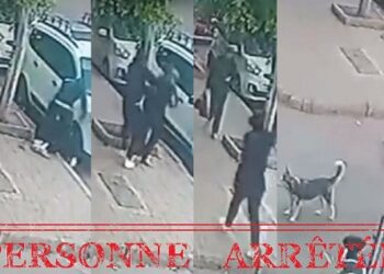 توقيف شخص ظهر في فيديو بالبرنوصي يمارس السرقة بالعنف