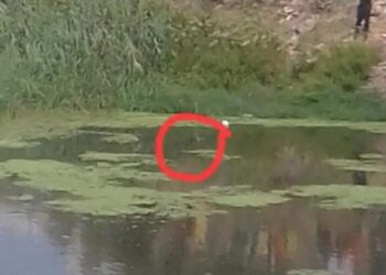 العثور على جثة بمجرى للواد الحار بتطوان