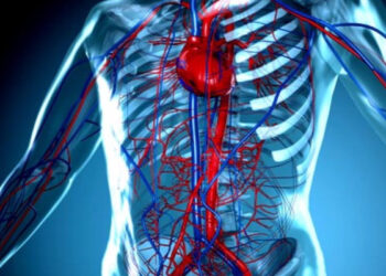طنجة تستضيف النسخة العاشرة من المؤتمر الوطني لجراحة الأوعية الدموية