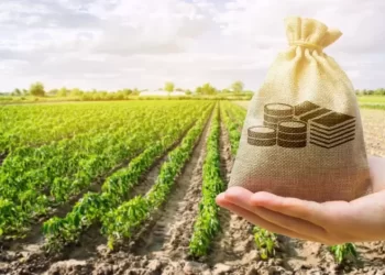 الاستثمار الأخضر في المجال السياحي يحتاج مجهودا كبيرا واحتراما للبيئة