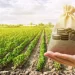 الاستثمار الأخضر في المجال السياحي يحتاج مجهودا كبيرا واحتراما للبيئة