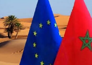 الصحراء المغربية: بفضل جهود جلالة الملك 14 عضوا في الاتحاد الأوروبي يدعمون الحكم الذاتي