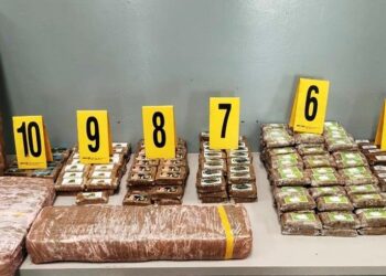 ضبط شحنة مخدرات على متن شاحنة لنقل الخضراوات بميناء طنجة المتوسط
