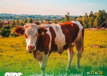 الدار البيضاء تحتضن النسخة الأولى للمعرض الدولي لتربية المواشي