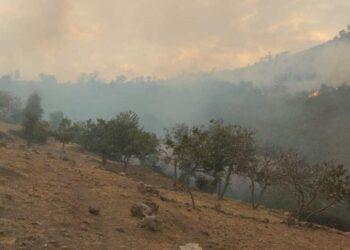 اندلاع حريق نواحي شفشاون تثير الرعب الساكنة
