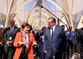 رئيس الصندوق الدولي للتنمية الزراعية يشيد بقدرة المغرب على الصمود بعد الزلزال