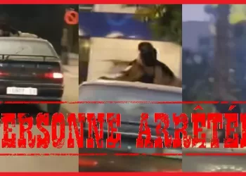 توقيف شخص بأكادير متورط في الإيذاء العمدي والنقل السري