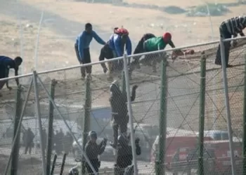 المصور الصحافي ستيف ماكوري: تغطية الحرب خطيرة لكنها “واجب مقدس”