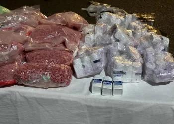 إجهاض محاولة لتهريب أكثر من 173 ألف قرص مخدر بميناء طنجة المتوسط