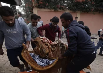 أطباء في مستشفى الشفاء: الجيش الإسرائيلي يسرق جثث فلسطينيين