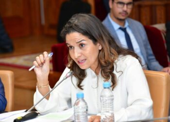 وزارة الانتقال الطاقي والتنمية المستدامة تعكف على تحيين خارطة طريق البنية التحتية الغازية