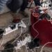 عاجل انقطاع “كامل” لخدمات الإنترنت والاتصالات في قطاع غزة