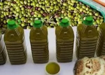 ارتفاع أثمنة زيت الزيتون بوزان وشفشاون يغضب الساكنة