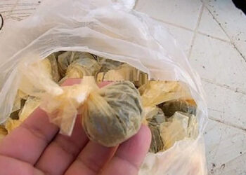 حجز كمية ضخمة من “النفحة” بمحلَّين تجارييِن وتوقيف شخصين