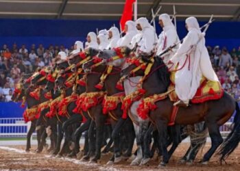 فؤاد العروي يُصدر كتابا عن “خيول وفرسان فن التبوريدة بالمغرب”