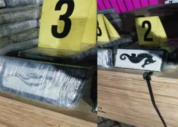 تنسيق مغربي أمريكي…إجهاض عملية نوعية للتهريب الدولي للمخدرات بطنجة