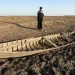 مياه أهوار جنوب العراق تنضب وحضارة كاملة تتلاشى معها