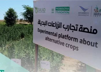 مؤسسة فوسبوكراع..الأرقام الرئيسية المتضمنة في التقرير السنوي برسم سنة 2022