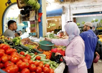 فدرالية إنتاج الخضر تخلق لجنة لحماية المغاربة من ارتفاع أسعار الطماطم