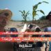 شح الأمطار يعقد حياة الفلاحين المغاربة