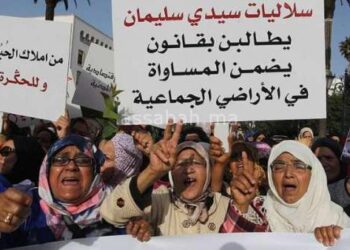 عملية حصر عدد السلاليين والسلاليات شملت 76 بالمائة من الجماعات السلالية