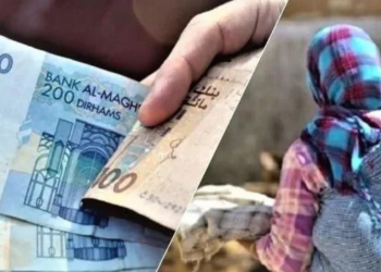 عملية الدعم الاجتماعي المباشر للأسر تتواصل بزخم كبير