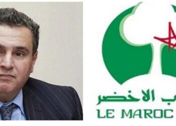 الدولة الاجتماعية والمغرب الأخضر