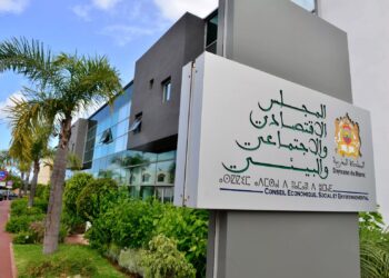 المجلس الاقتصادي والاجتماعي: محدودية الوصول إلى المعلومات الرسمية يُسهل تداول الأخبار الزائفة