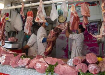 جهود اللجنة الحكومية لضمان استقرار الأسعار في رمضان