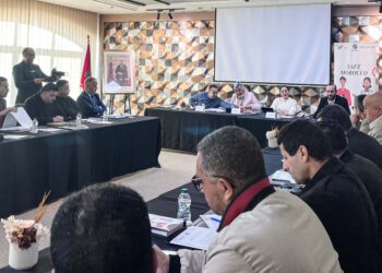 سامي المودني: فشل أو نجاح التنظيم الذاتي لمهنة الصحافة مرتبط بالديمقراطية