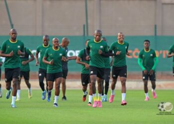 شبح الاصابات يطارد لاعبي منتخب جنوب إفريقيا قبل خوض مباراة الثمن أمام الاسود ..