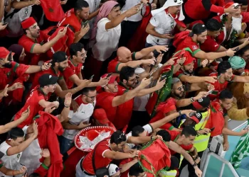 القنوات  الناقلة لنهائيات كأس أمم إفريقيا