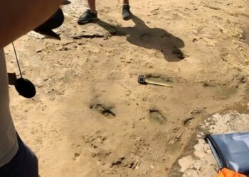 اكتشاف أقدم آثار أقدام بالعرائش