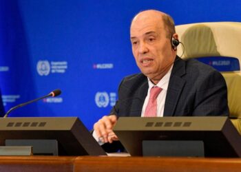 انضمام جزر القمر إلى التجارة العالمية يكرس ريادة الدبلوماسية المغربية