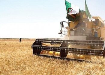 المحاولات الفاشلة لنظام العسكر بفرض حصار اقتصادي على المغرب يتسبب في أزمة غذائية للشعب الجزائري