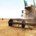المحاولات الفاشلة لنظام العسكر بفرض حصار اقتصادي على المغرب يتسبب في أزمة غذائية للشعب الجزائري