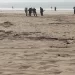 استنفار أمني قرب مطار طنجة بعد العثور على صندوق مملوء بالرصاص