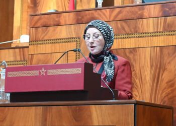 فريدة خنيتي: الفساد يخترق العديد من الفضاءات والميادين