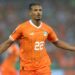قاهر السرطان ونيجيريا سيباستيان هالر يغالب الدموع في ليلة التتويج ..