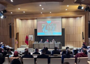المجلس الأعلى للتربية والتكوين يسائل الحكومة حول وضعية منظومة التربية