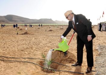 المغرب بقيادة جلالة الملك يولي أهمية كبرى لتنمية مناطق الواحات