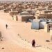 بعد اسبانيا.. بريطانيا وأمريكا تحذران من زيارة مخيمات تندوف
