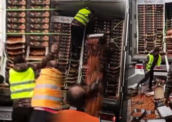 مزارعون إسبان يقطعون الطريق على شاحنة مغربية محملة بالطماطم