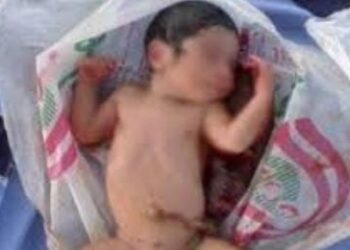 العثور على رضيعة حديثة الولادة مرمية بالعرائش