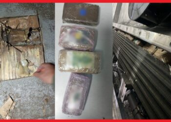 احباط محاولة تهريب كمية من المخدرات بميناء طنجة المتوسط