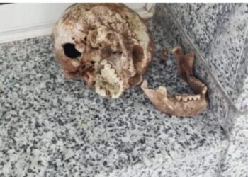 استنفار أمني كبير بسبب العثور على جمجمة بشرية بطنجة