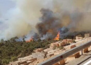 اندلاع حريق بغابة ولاد شاكر إقليم الرشيدية